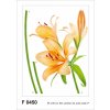 Obraz AG Design, Samolepka / samolepící dekorace na zeď F 0450, Oranžová lilie