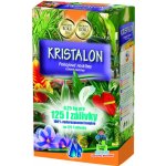 Agro Kristalon pokojové rostliny 0,25 kg – Hledejceny.cz