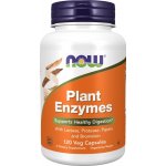 Now Foods Plant Enzymes rostlinné enzymy 120 kapslí – Hledejceny.cz