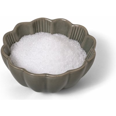 Protein&Co Březový cukr xylitol 500 g – Hledejceny.cz