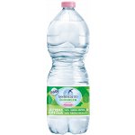 San Benedetto kojenecká voda přírodní italská neperlivá 0,5 l – Hledejceny.cz