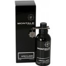 Montale Paris Greyland parfémovaná voda unisex 100 ml