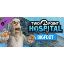 Two Point Hospital: Bigfoot