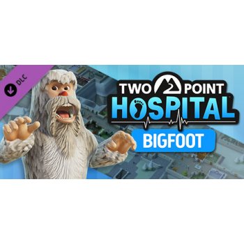 Two Point Hospital: Bigfoot