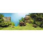 Juwel tapeta rostliny / skály 150 x 60 cm – Zbozi.Blesk.cz