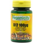 Veganicity Vitamín B12 100 μg 90 tablet – Hledejceny.cz