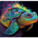 Norimpex diamantové malování Abstraktní barevná želva 30 x 40 cm – Hledejceny.cz