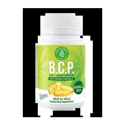 BCP kapsle Přírodní kapsle s rostlinnými oleji s přirozeným obsahem BCP, DHA, doplněné o vitaminy D3 a K2 60 ks – Hledejceny.cz