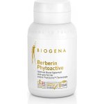 Biogena Berberin Phytosome 90 kapslí – Hledejceny.cz