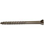 Vruty RAPI-TEC TERASO PLUS 4,5x60mm TX20 nerez A4 – Zboží Mobilmania