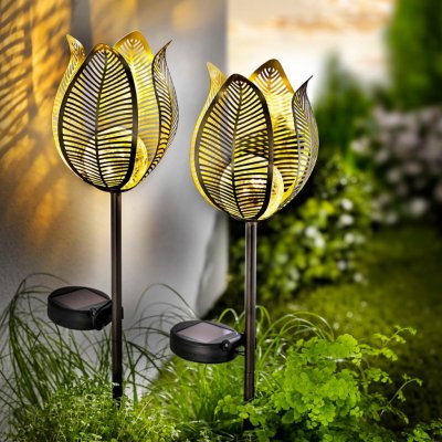 Weltbild Solární zahradní zápich Flower, 2 ks – Zboží Dáma