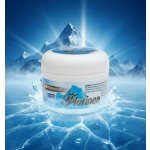 Florinea Natural Ice Gel na klouby 200 ml – Zboží Dáma