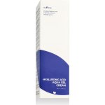 Isntree Hyaluronic Acid Aqua Gel Cream 100 ml – Hledejceny.cz