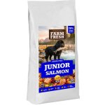 Topstein Farm Fresh Salmon line Puppy /active Large breed 15 kg – Hledejceny.cz
