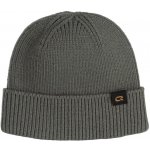 Powerslide čepice Iqon Explore beanie – Hledejceny.cz