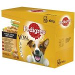 Pedigree Masový výběr se zeleninou ve šťávě 12 x 100 g – Hledejceny.cz