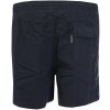 Koupací šortky, boardshorts Speedo Solid Watershorts Mens Blue