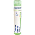 CALCAREA FLUORICA POR 5CH GRA 1X4G – Hledejceny.cz