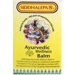 Siddhalepa Ajurvédský balzám 25 g – Zboží Dáma