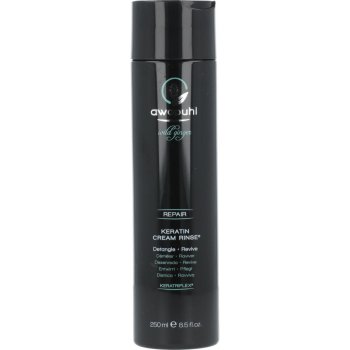 Paul Mitchell Awapuhi Wild Ginger kondicionér 250 ml