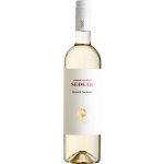 Sedlák Müller Thurgau - SVATOMARTINSKÉ 2026 11,5% 0,75 l (holá láhev) – Hledejceny.cz