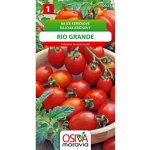 Rajče Keříčkové - Rio Grande (Solanum lycopersicum) – Hledejceny.cz