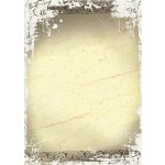 diplomy Amber 170g 25ks – Zboží Dáma