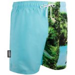 Guggen mountain pánské plavecké kraťasy ZM1601 Palma modro zelené – Hledejceny.cz