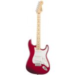 Fender Standard Stratocaster MN – Sleviste.cz