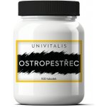 Univitalis Ostropestřec 100 tablet – Hledejceny.cz