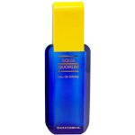 Antonio Puig Agua Quorum toaletní voda pánská 100 ml – Hledejceny.cz
