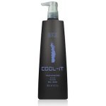 Bes Color Reflection Mask Cool-it 300 ml – Zboží Mobilmania