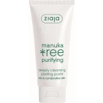 Ziaja Manuka Tree Purifying čistící peelingová pasta pro normální až mastnou pleť 75 ml – Zboží Dáma