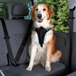 Trixie Dog Protect postroj do auta L 65–80 cm x 2,5 cm – Zbozi.Blesk.cz