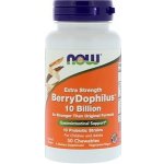 Now BerryDophilus Extra Strength probiotika pro děti 50 žvýkacích pastilek – Hledejceny.cz