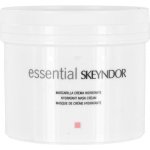 Skeyndor Essential Normal and Dry Skin Hydratant Mask Cream hydratační krémová maska pro normální až suchou pleť 500 ml – Zboží Mobilmania