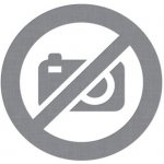 Skvělé příběhy čtyřlístku -- 1976-1979 - Ljuba Štíplová, Jaroslav Němeček – Sleviste.cz