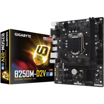 Gigabyte B250M-D2V