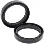 Gufera přední vidlice All Balls Racing FS55-140 48x61x11 | Zboží Auto