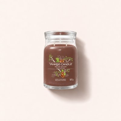 Yankee Candle Signature Praline & Birch 567 g – Hledejceny.cz