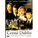 Černá Dahlia DVD