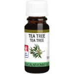 Anděl Přerov Olej vonný Tea Tree 10 ml – Hledejceny.cz