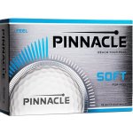 Pinnacle Soft – Zboží Dáma