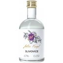Anton Kaapl Slivovice 47% 0,05 l (holá láhev)