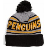 New Era Kulich NHL Evergreen Wordmark Pom Medium Knit Pittsburgh Penguins Team Color – Hledejceny.cz