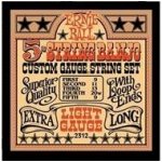 ERNIE BALL 2312 – Zboží Mobilmania