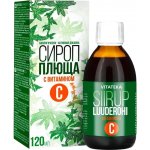 Vitateka Břečťanový sirup s vitaminem C 120 ml – Hledejceny.cz