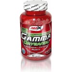 Amix Gamma Oryzanol 90 kapslí – Hledejceny.cz