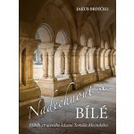 Martin Leschinger - Flétna Naechnout se bílé - Příběh ztraceného kázání Tomáše Akvinského – Hledejceny.cz