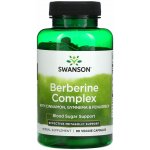 Swanson Berberin Complex Skořice Gymnema Fenugreeek 90 kapslí – Hledejceny.cz